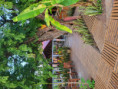 /album/fotogaleria-madagaskar-hotely/madagaskar-hotely-32-jpg/